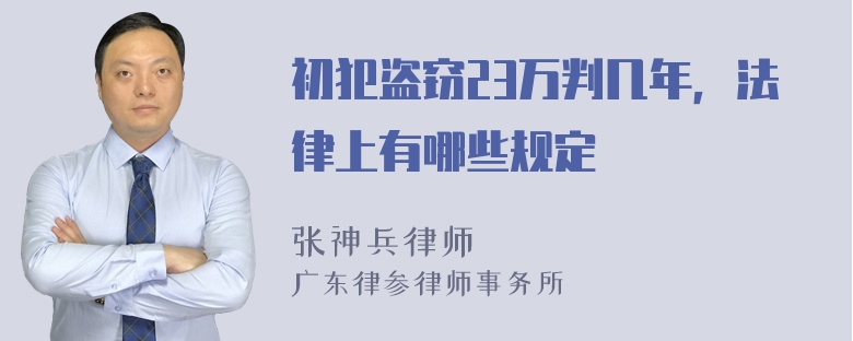 初犯盗窃23万判几年，法律上有哪些规定