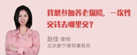 我想参加养老保险，一次性交钱去哪里交？