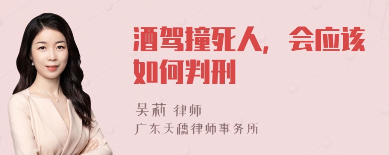酒驾撞死人，会应该如何判刑
