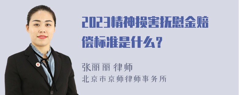 2023精神损害抚慰金赔偿标准是什么？