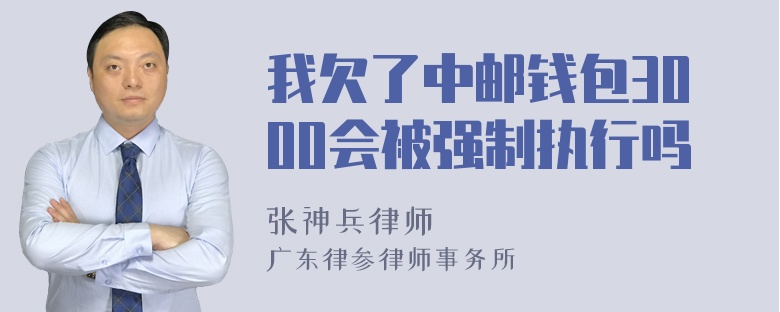 我欠了中邮钱包3000会被强制执行吗