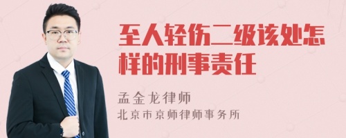 至人轻伤二级该处怎样的刑事责任