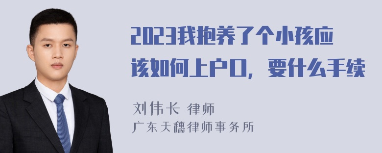 2023我抱养了个小孩应该如何上户口，要什么手续