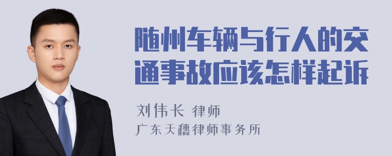 随州车辆与行人的交通事故应该怎样起诉