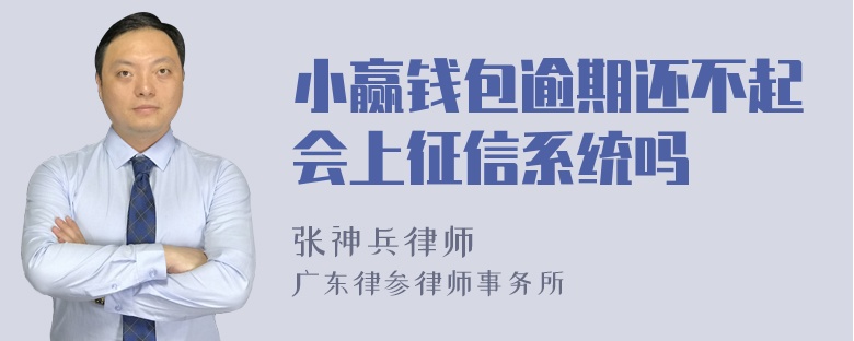 小赢钱包逾期还不起会上征信系统吗