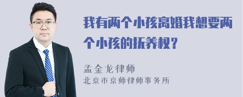 我有两个小孩离婚我想要两个小孩的抚养权？