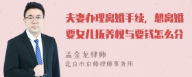 夫妻办理离婚手续，想离婚要女儿抚养权与要钱怎么分