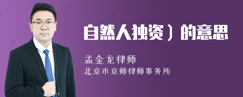 自然人独资）的意思