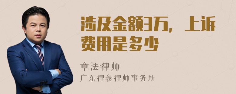 涉及金额3万，上诉费用是多少