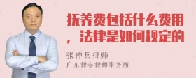 抚养费包括什么费用，法律是如何规定的