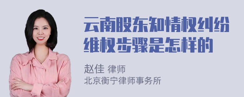 云南股东知情权纠纷维权步骤是怎样的