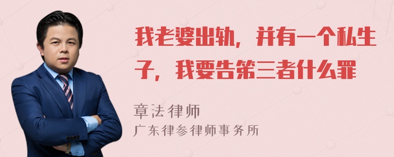 我老婆出轨，并有一个私生子，我要告笫三者什么罪