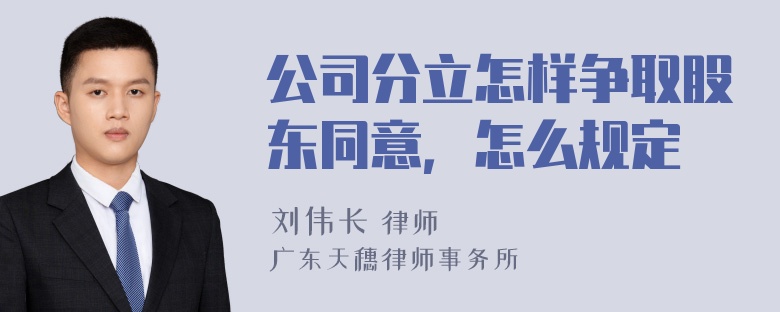 公司分立怎样争取股东同意，怎么规定