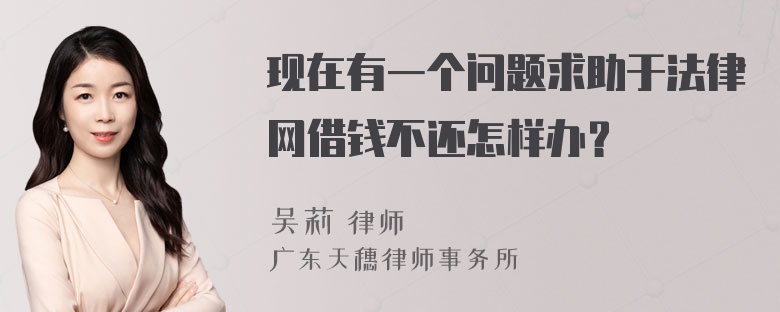 现在有一个问题求助于法律网借钱不还怎样办？