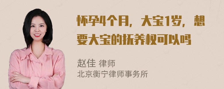 怀孕4个月，大宝1岁，想要大宝的抚养权可以吗