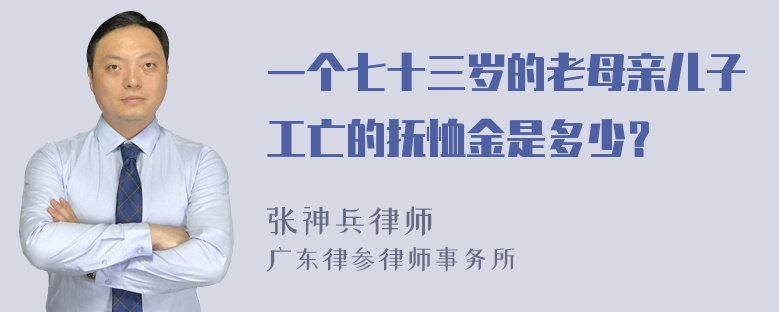 一个七十三岁的老母亲儿子工亡的抚恤金是多少？