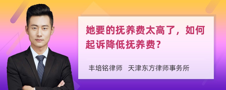 她要的抚养费太高了，如何起诉降低抚养费？