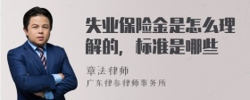 失业保险金是怎么理解的，标准是哪些