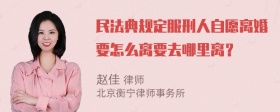 民法典规定服刑人自愿离婚要怎么离要去哪里离？