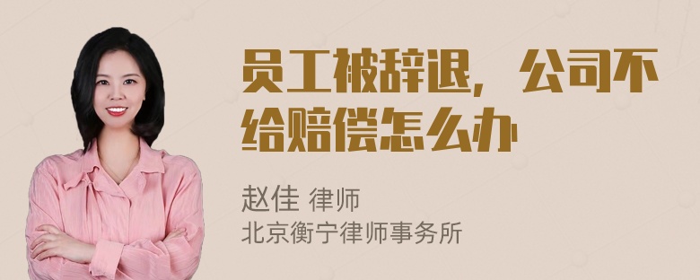 员工被辞退，公司不给赔偿怎么办