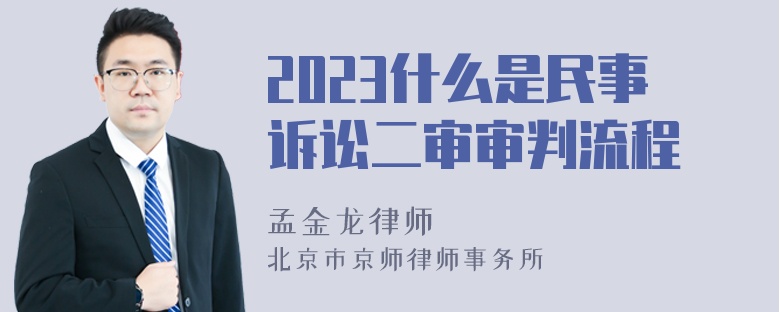 2023什么是民事诉讼二审审判流程