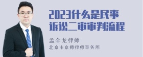 2023什么是民事诉讼二审审判流程