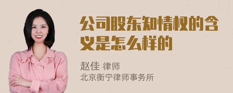 公司股东知情权的含义是怎么样的