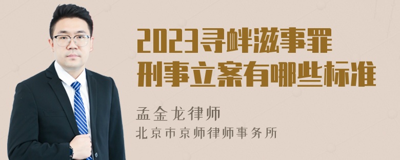 2023寻衅滋事罪刑事立案有哪些标准