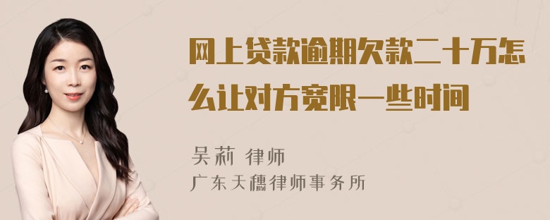 网上贷款逾期欠款二十万怎么让对方宽限一些时间