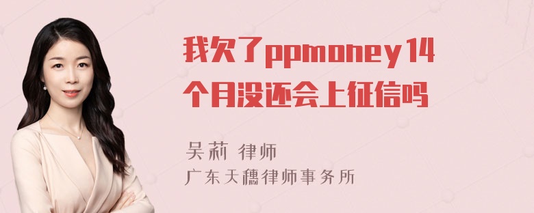 我欠了ppmoney14个月没还会上征信吗