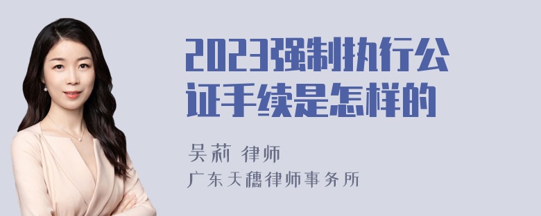 2023强制执行公证手续是怎样的