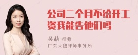 公司二个月不给开工资我能告他们吗