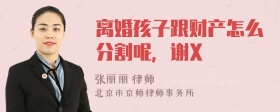 离婚孩子跟财产怎么分割呢，谢X