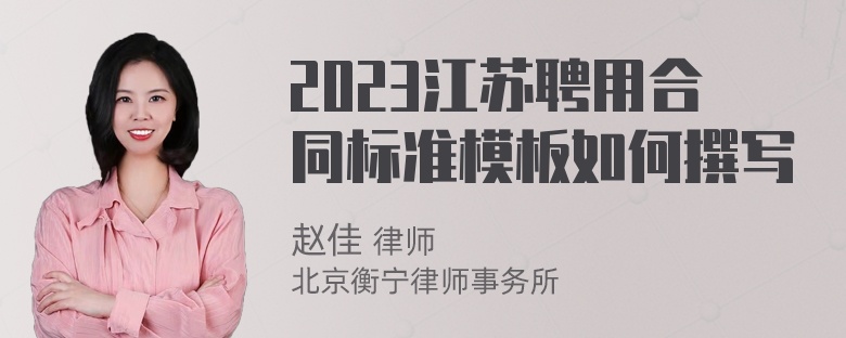 2023江苏聘用合同标准模板如何撰写