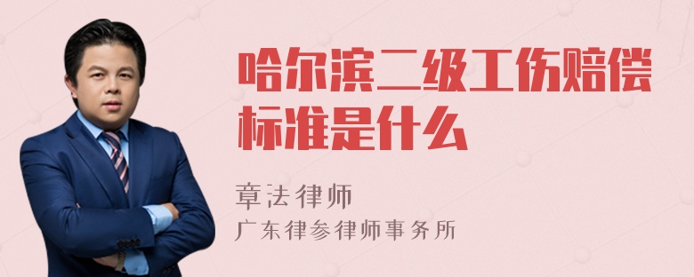 哈尔滨二级工伤赔偿标准是什么