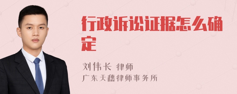 行政诉讼证据怎么确定