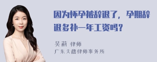 因为怀孕被辞退了，孕期辞退多补一年工资吗？