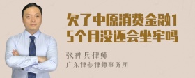 欠了中原消费金融15个月没还会坐牢吗