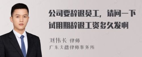 公司要辞退员工，请问一下试用期辞退工资多久发啊