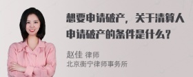 想要申请破产，关于清算人申请破产的条件是什么？