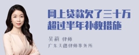 网上贷款欠了三十万超过半年补救措施