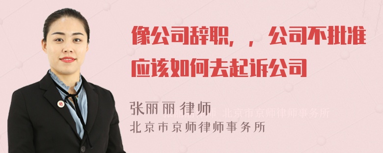 像公司辞职，，公司不批准应该如何去起诉公司