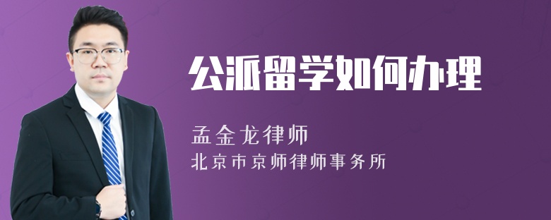 公派留学如何办理