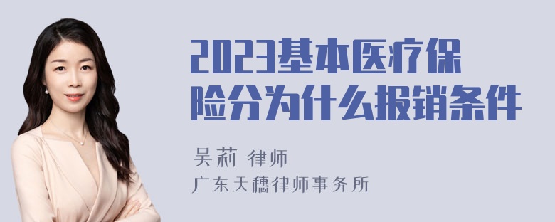 2023基本医疗保险分为什么报销条件