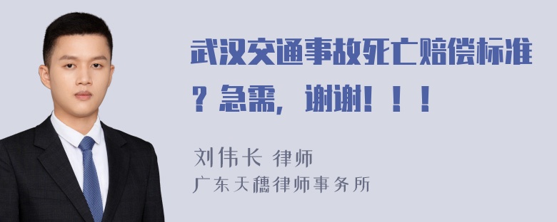 武汉交通事故死亡赔偿标准？急需，谢谢！！！