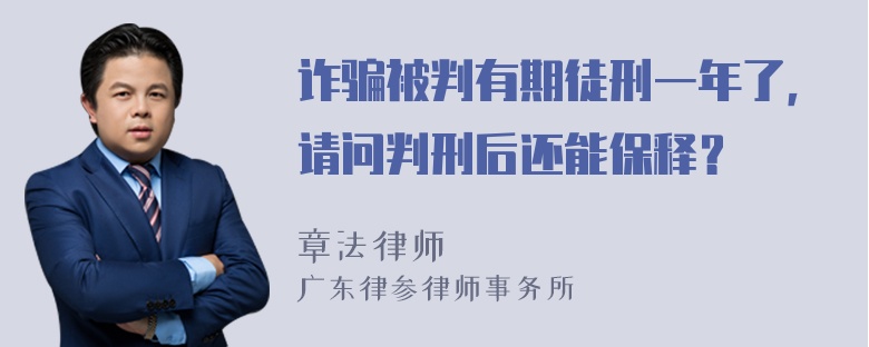 诈骗被判有期徒刑一年了，请问判刑后还能保释？