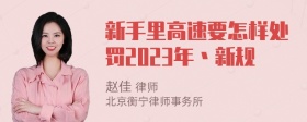 新手里高速要怎样处罚2023年丶新规