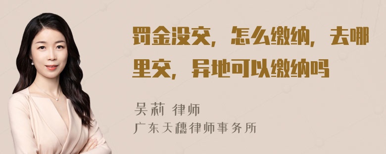 罚金没交，怎么缴纳，去哪里交，异地可以缴纳吗