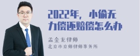 2022年，小偷无力偿还赔偿怎么办