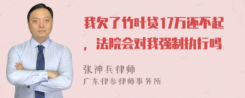 我欠了竹叶贷17万还不起，法院会对我强制执行吗